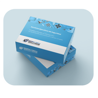 vCISO - Seguridad de la Informacion